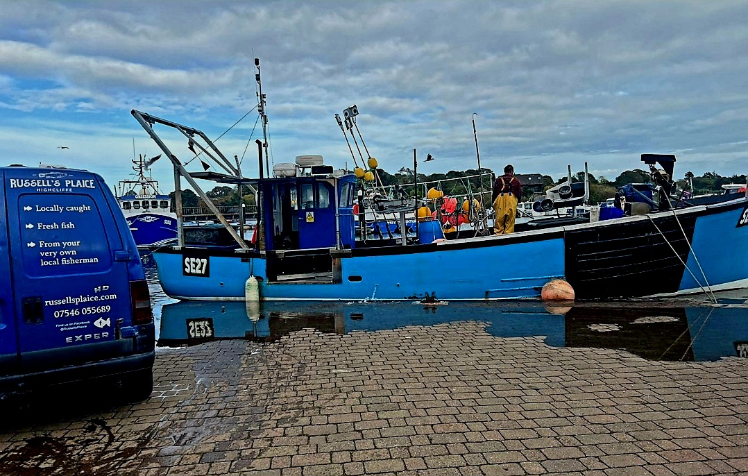 Fresh Fish & Shellfish Delivery 