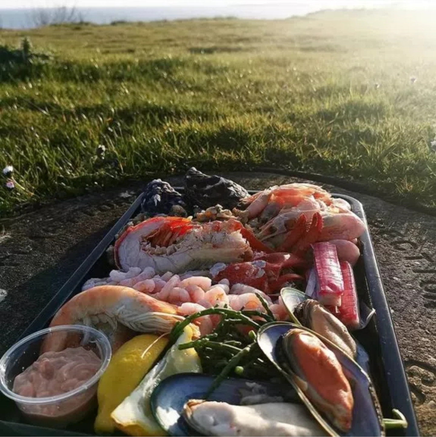 Lobster