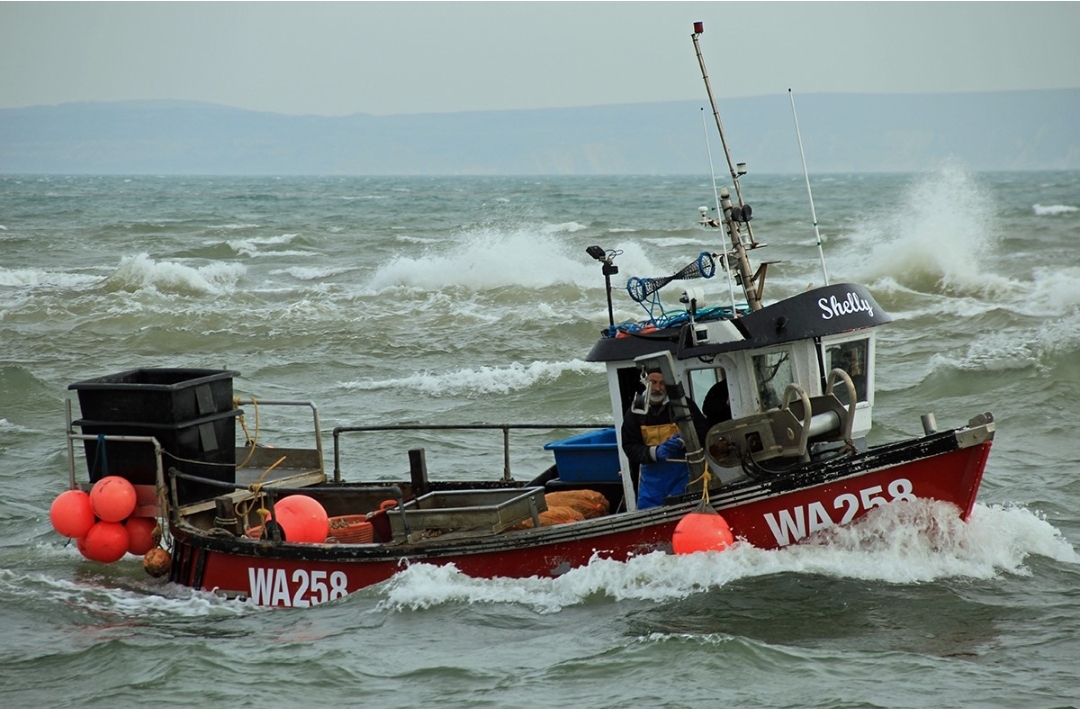 Solent fishing