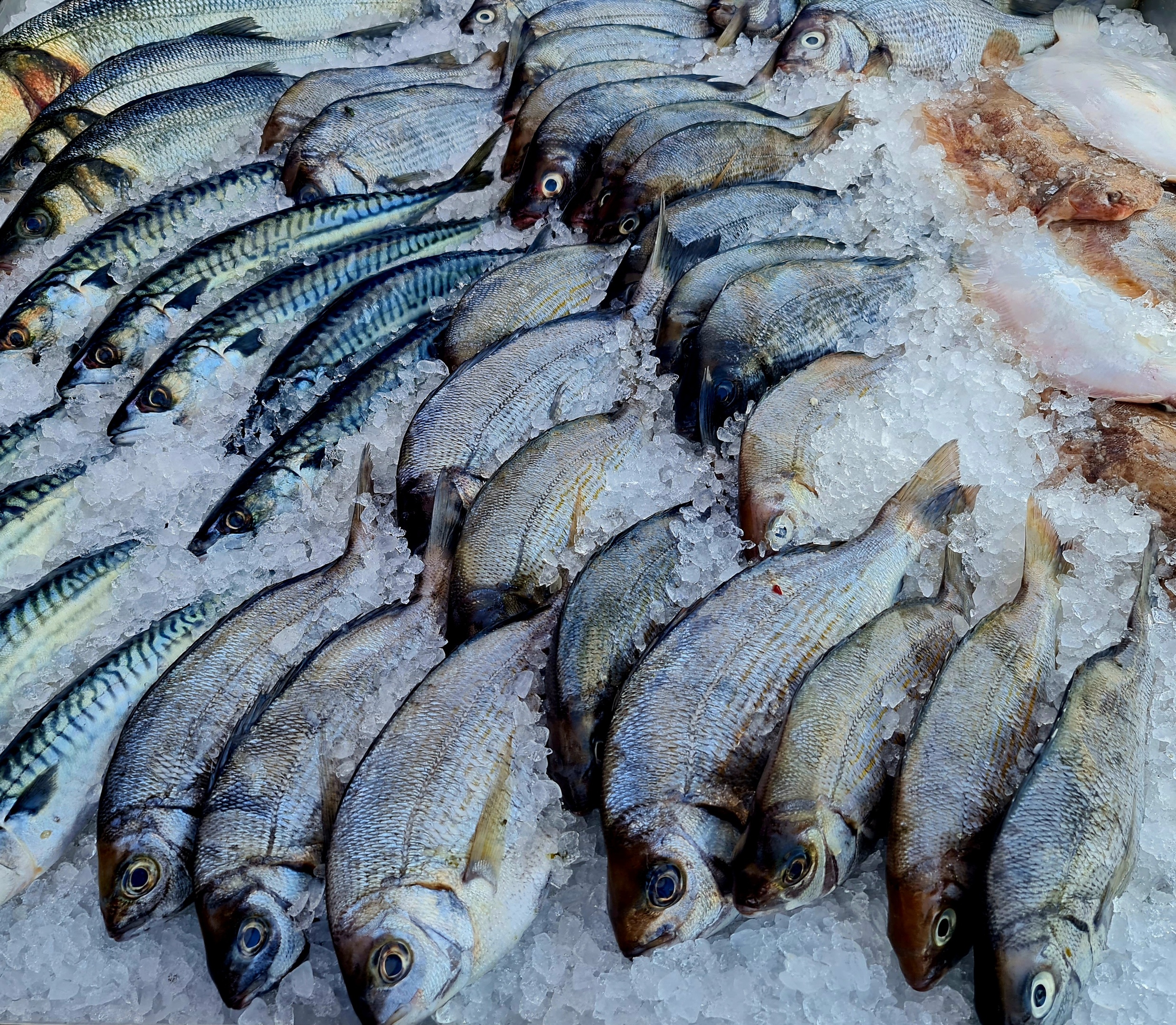 Seafood Highcliffe Fishmonger. 