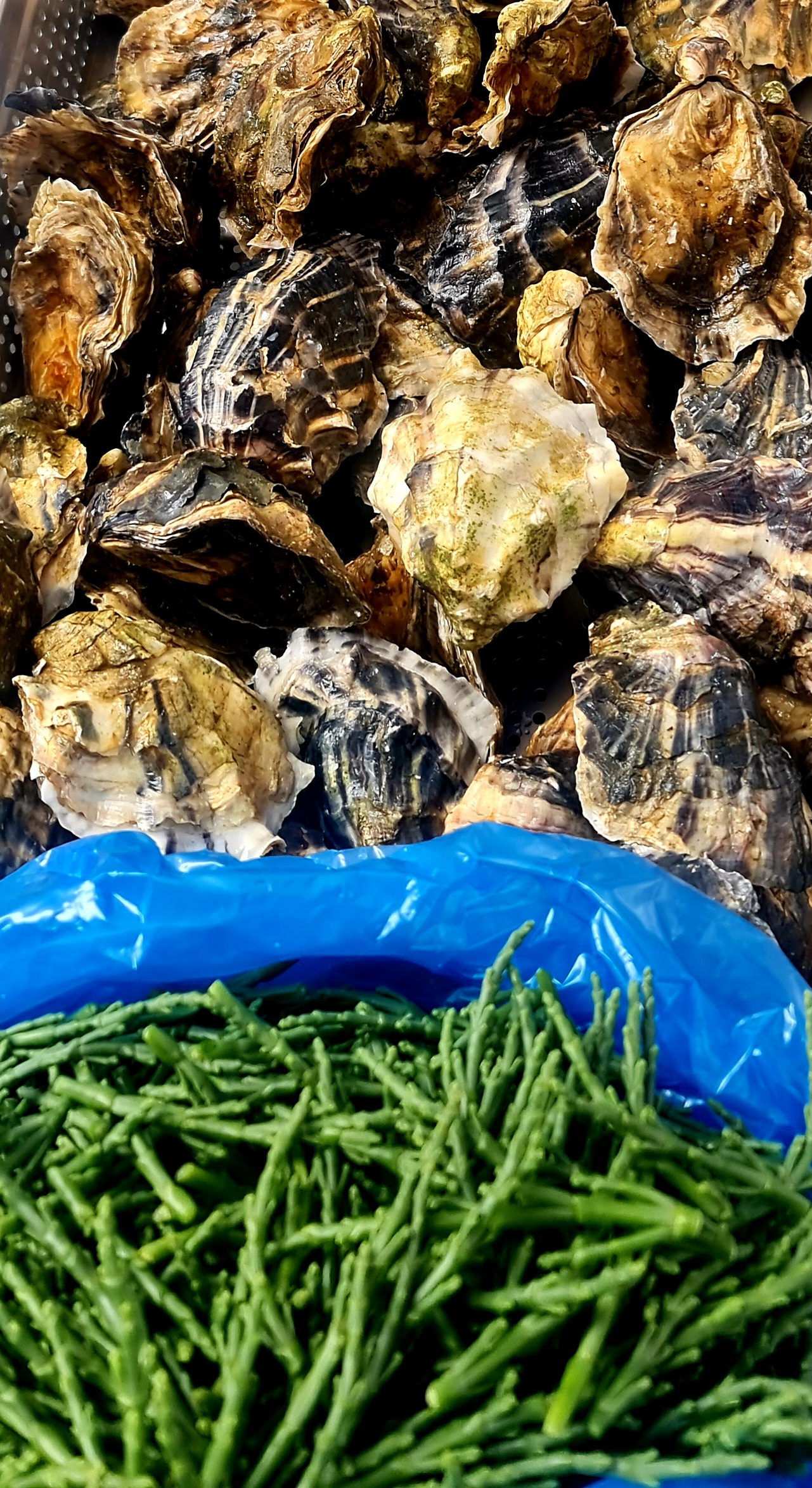 Local Oysters- Highcliffe Fishmonger 