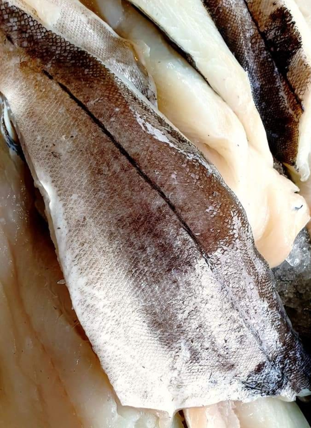 Fresh Haddock Fillet