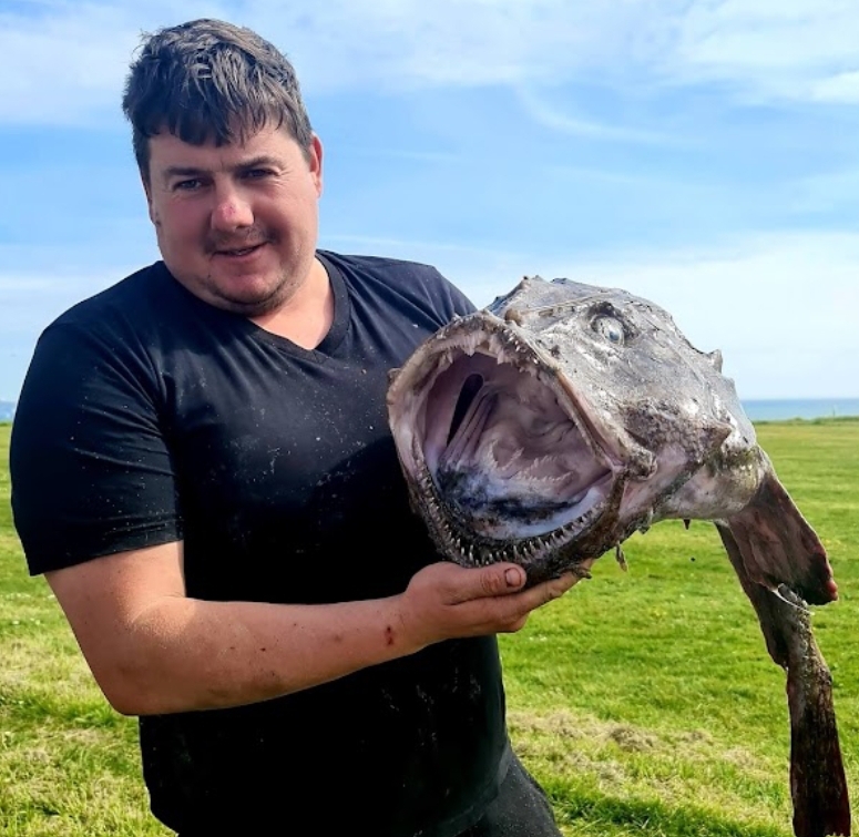 Fresh Monkfish Barton Onsea