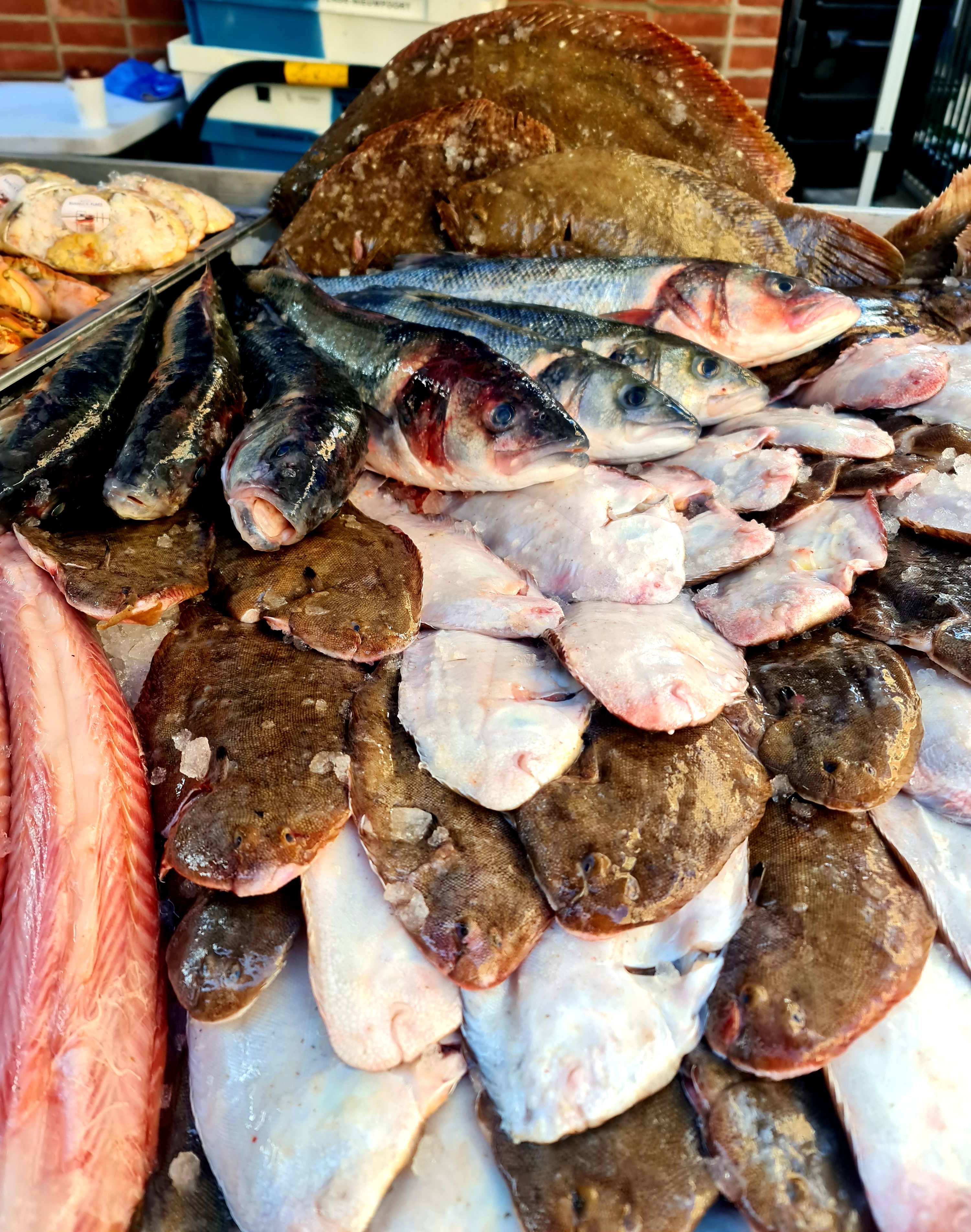 Farmers Markets Fresh Fish and Shellfish