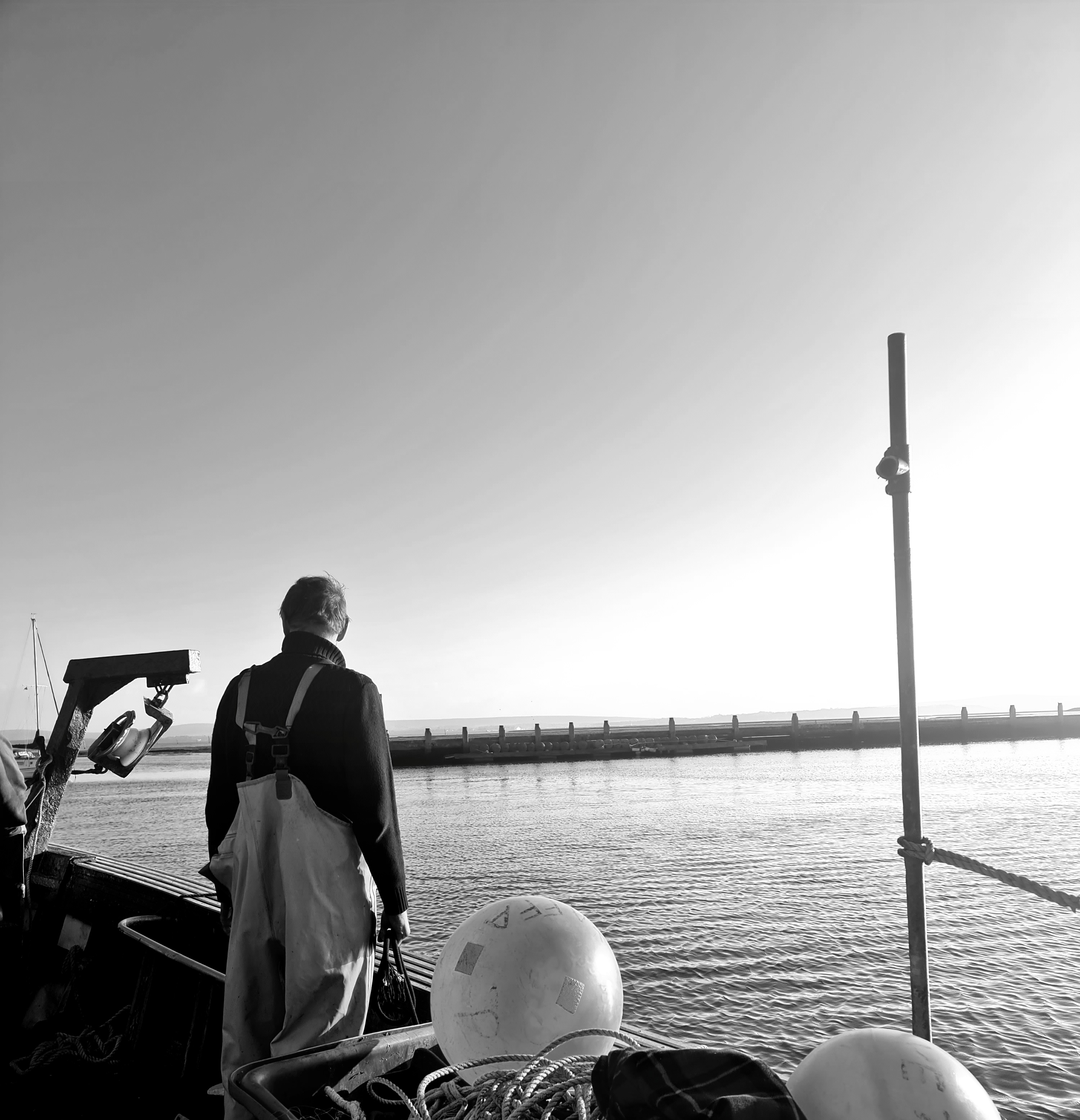 Lymington fishmonger fresh fish and shellfish