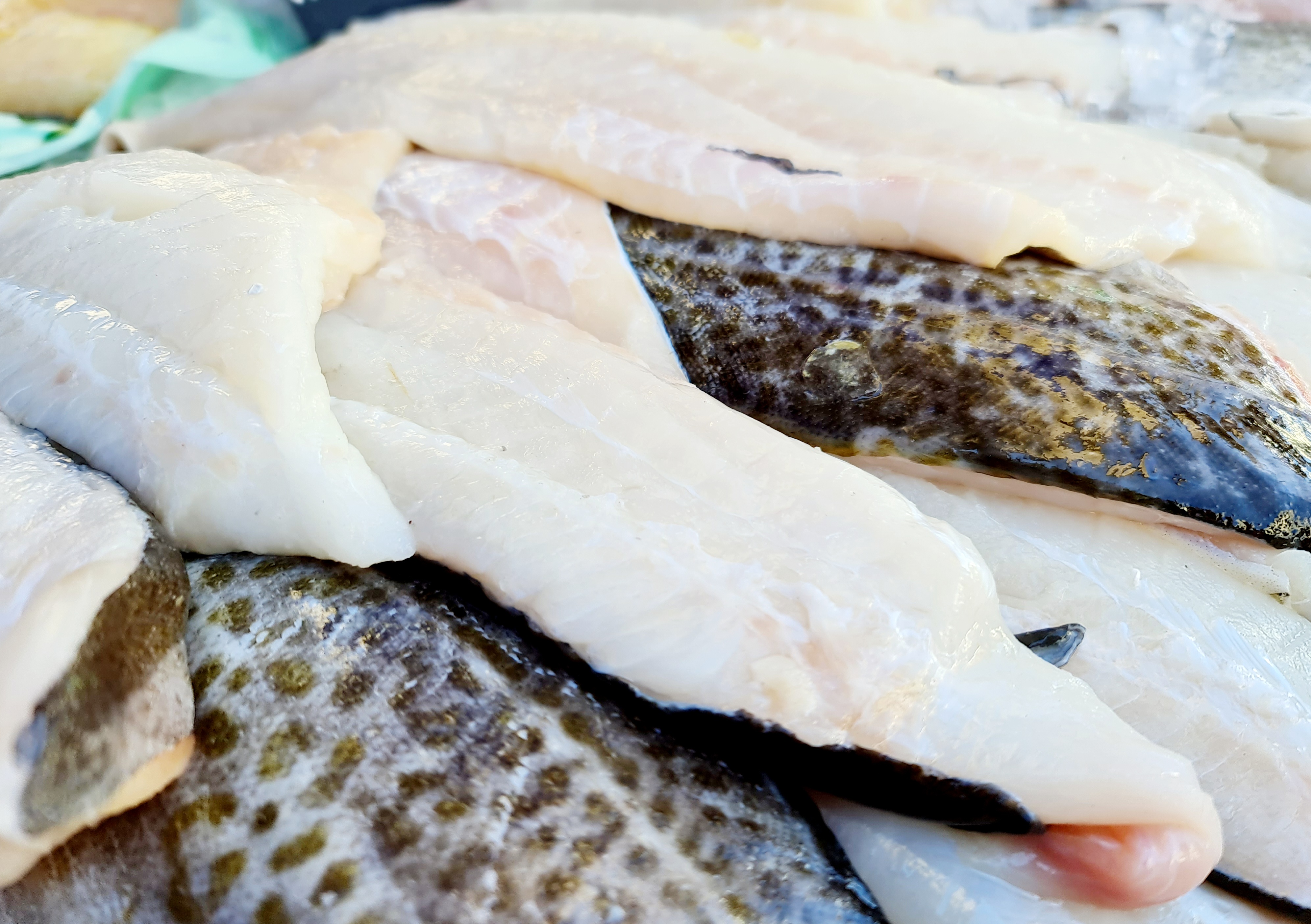 Fresh Cod 