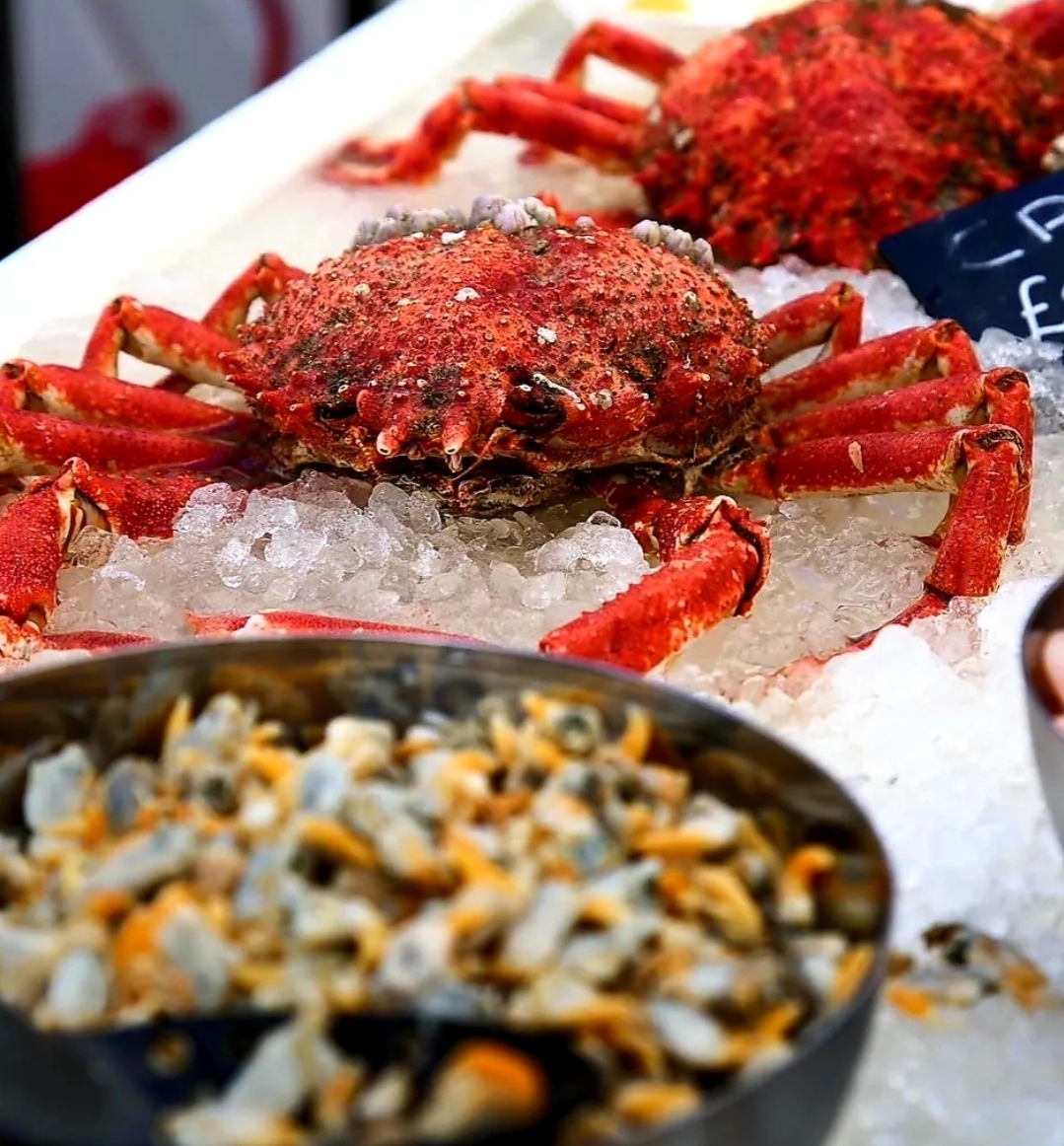 Fresh Spider Crab - Highcliffe 