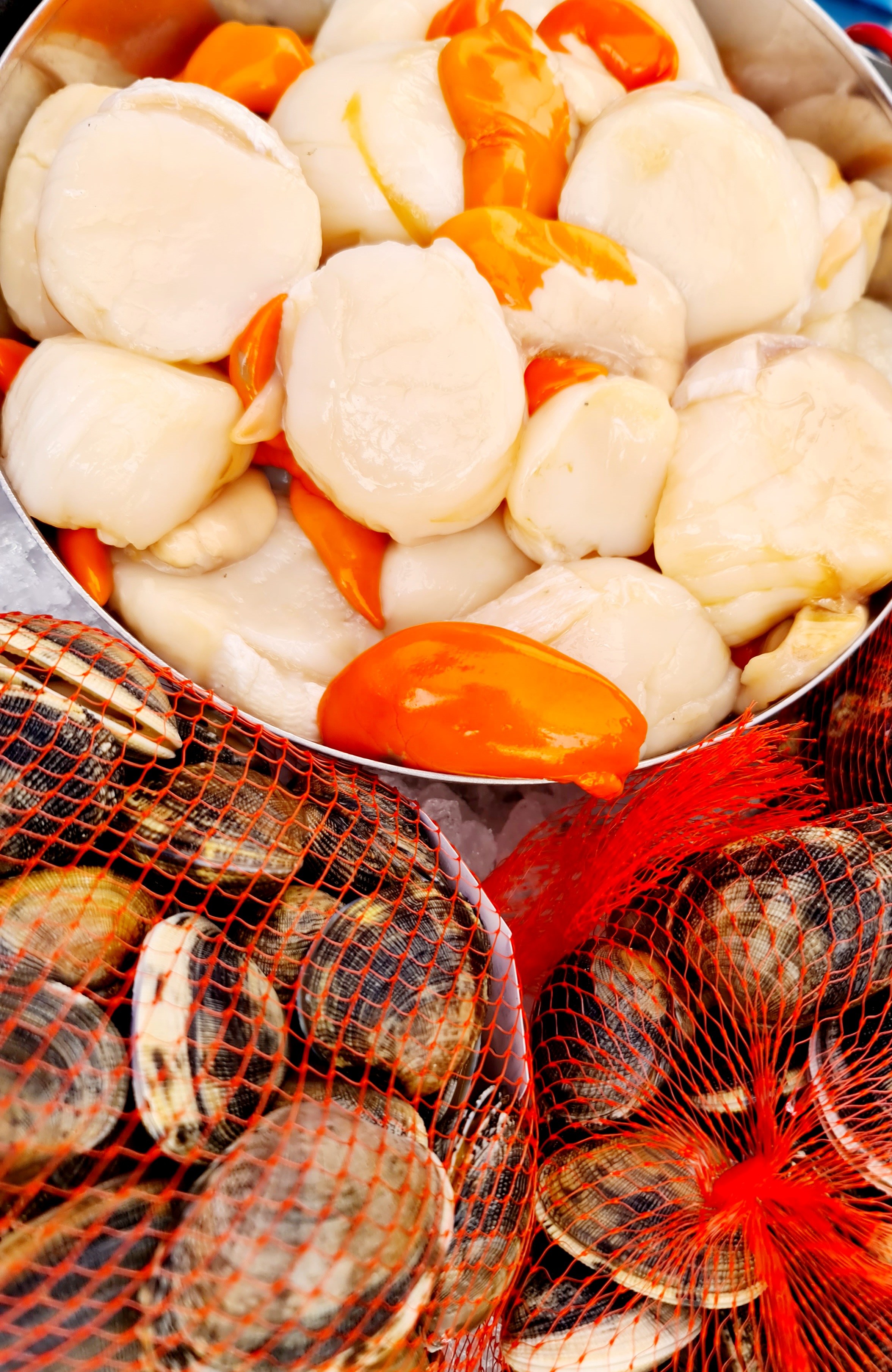 Shellfish Delights 