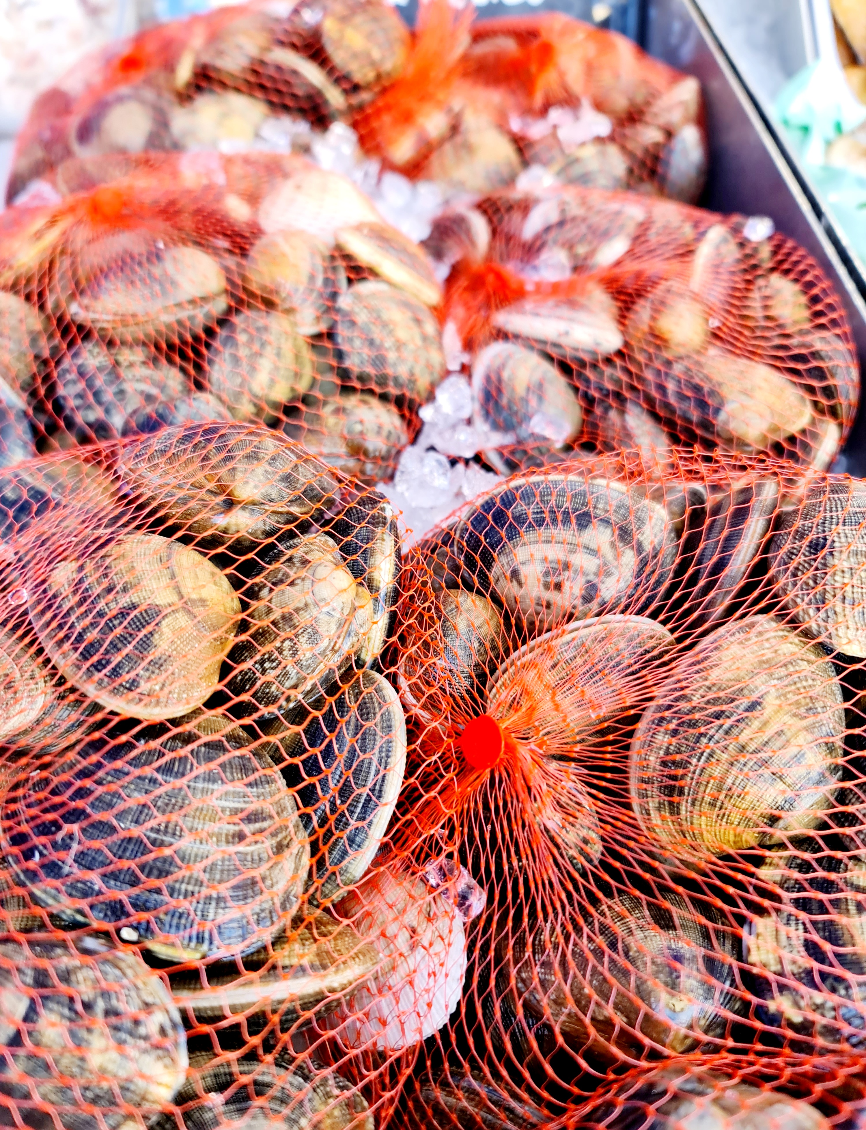 Live Clams - Highcliffe Fishmonger 