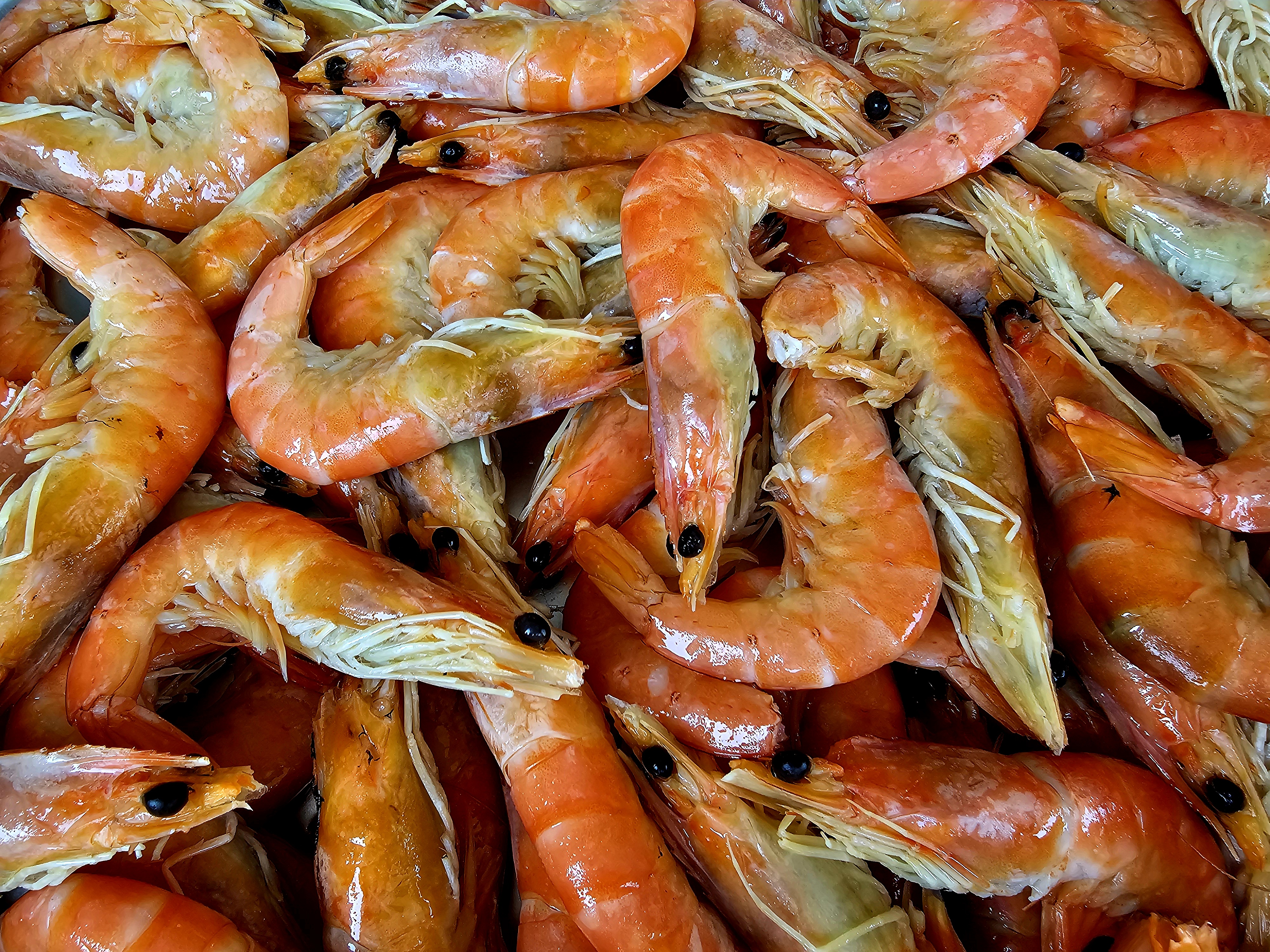 Prawns- Highcliffe Fish 